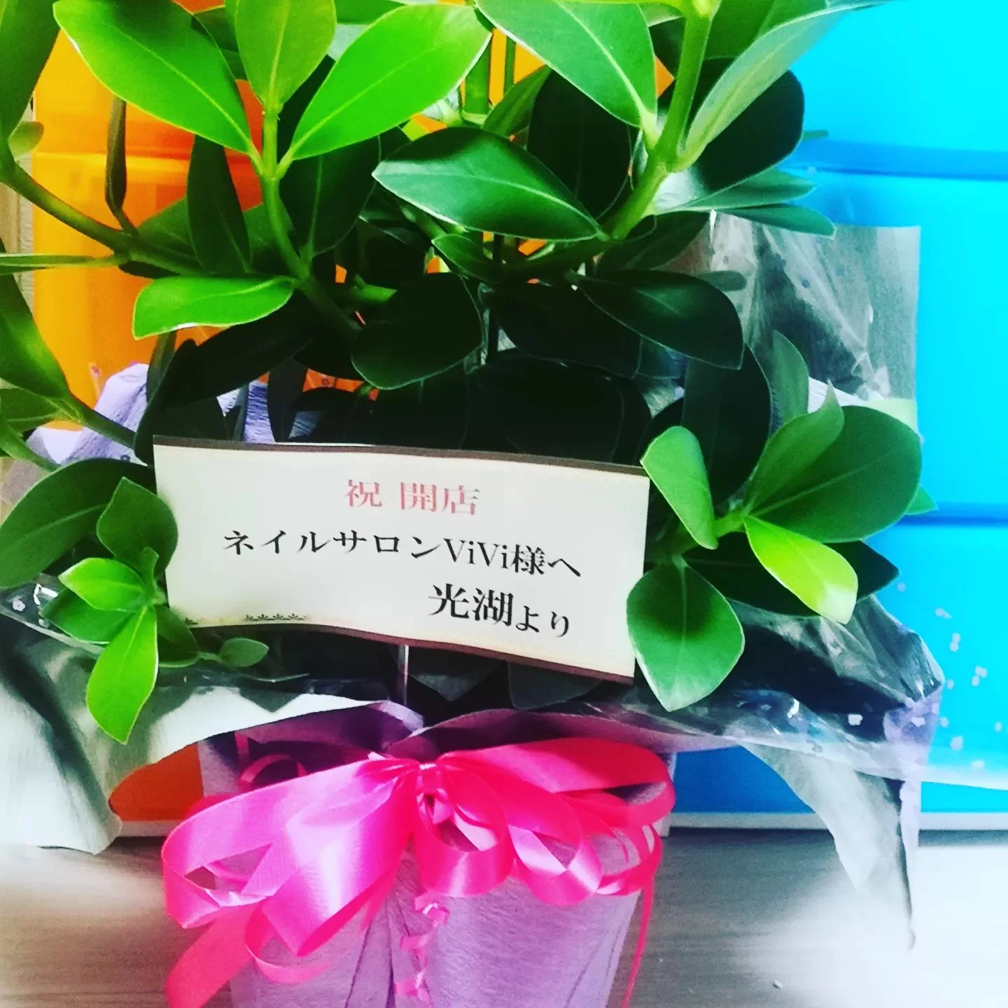ブログ画像